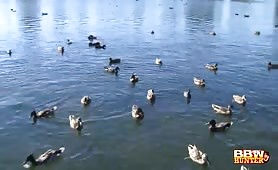 Ruddy Rosebuds Backdoor Bliss A Plump Girl Gets Pleasured by Her Man